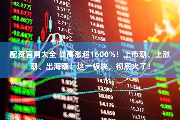 配资官网大全 最高涨超1600%！上市潮、上涨潮、出海潮！这一板块，彻底火了！