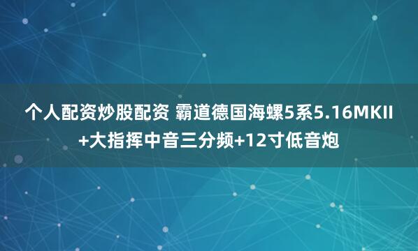 个人配资炒股配资 霸道德国海螺5系5.16MKII+大指挥中音三分频+12寸低音炮