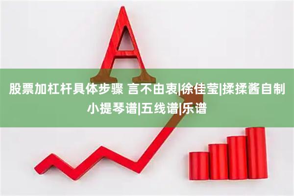 股票加杠杆具体步骤 言不由衷|徐佳莹|揉揉酱自制小提琴谱|五线谱|乐谱